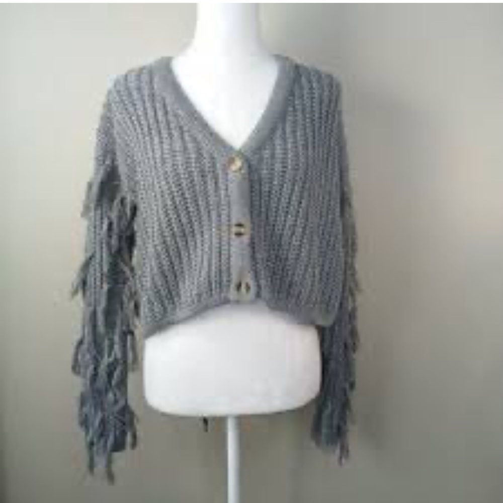 HAYDEN LA tattered gray fringe cardigan